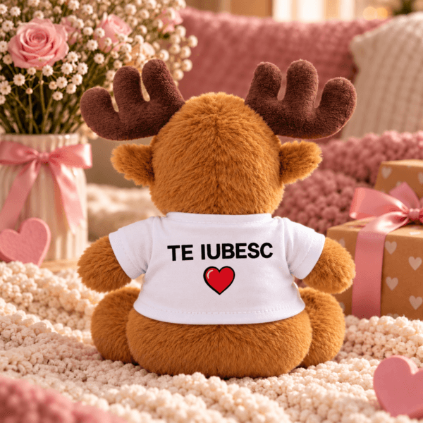 Renul Rudolf Personalizat cu Poza + Cutie Cadou de Craciun