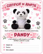 Ursuletul Panda Pandy Personalizat cu Poza